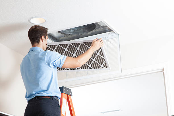 Best Air Quality Test  in Cary, IL